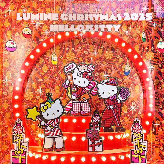 SUPER EDISON Co.,Ltd. /スーパーエジソン株式会社